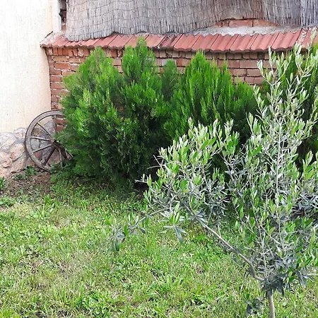 Дом отдыха Complex Fretly *