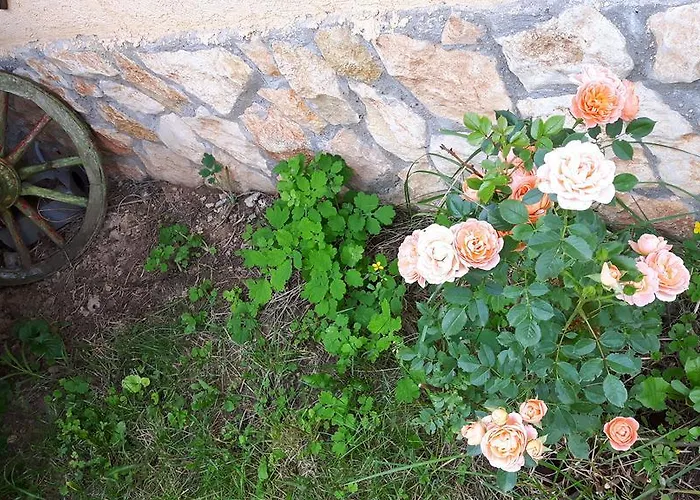 Ferienhaus Complex Fretly *